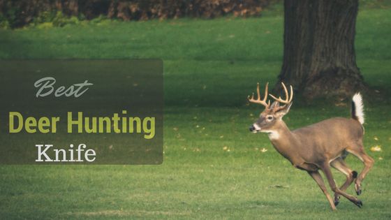 Best Deer Hunting Knife